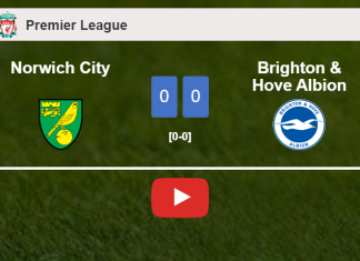 Norwich City stops Brighton & Hove Albion with a 0-0 draw. HIGHLIGHTS