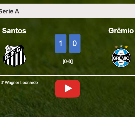 Santos defeats Grêmio 1-0 with a late goal scored by Wagner Leonardo. HIGHLIGHTS