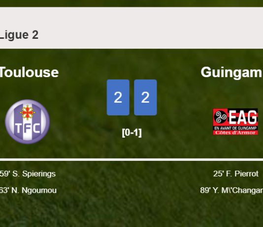 Toulouse and Guingamp draw 2-2 on Saturday