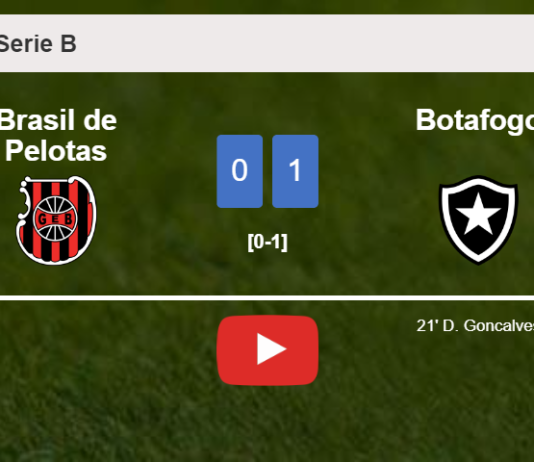Botafogo conquers Brasil de Pelotas 1-0 with a goal scored by D. Goncalves. HIGHLIGHTS