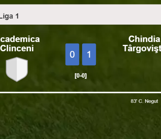 Chindia Târgovişte defeats Academica Clinceni 1-0 with a goal scored by C. Negut