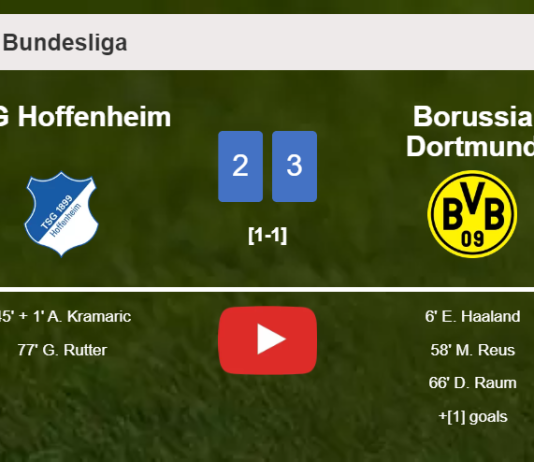 Borussia Dortmund defeats TSG Hoffenheim 3-2. HIGHLIGHTS