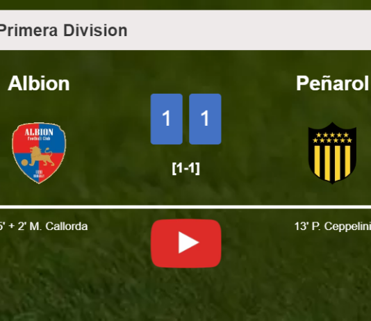 Albion and Peñarol draw 1-1 on Saturday. HIGHLIGHTS
