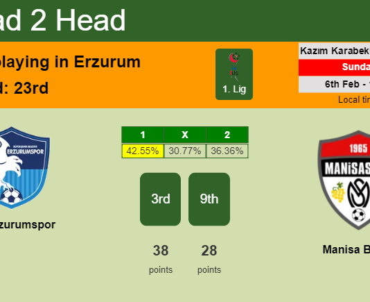 H2H, PREDICTION. BB Erzurumspor vs Manisa BBSK | Odds, preview, pick, kick-off time 06-02-2022 - 1. Lig