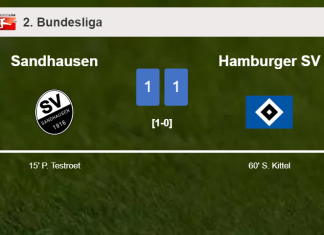 Sandhausen and Hamburger SV draw 1-1 on Saturday