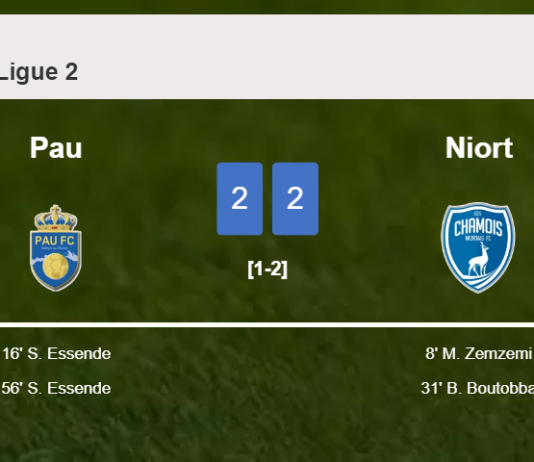 Pau and Niort draw 2-2 on Saturday