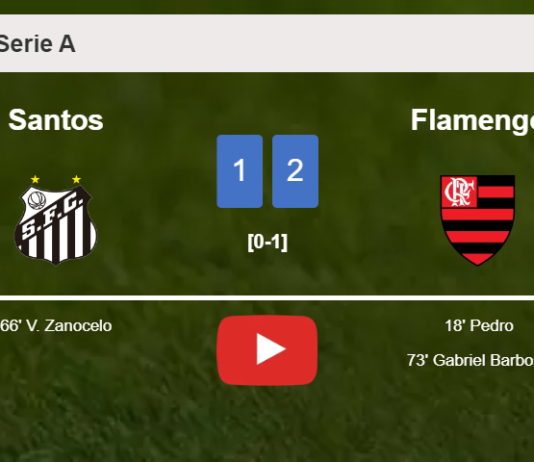 Flamengo tops Santos 2-1. HIGHLIGHTS