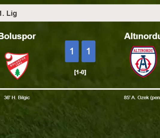 Altınordu grabs a draw against Boluspor