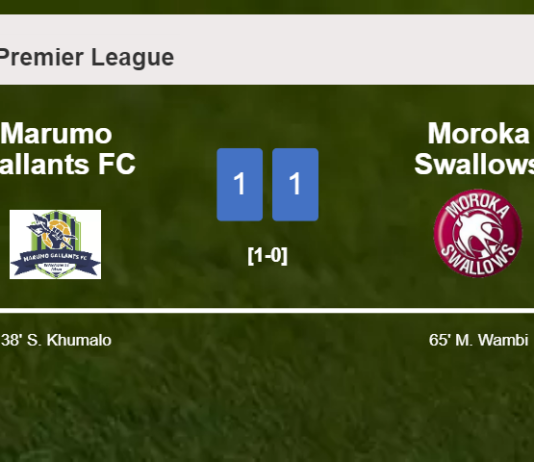 Marumo Gallants FC and Moroka Swallows draw 1-1 on Sunday
