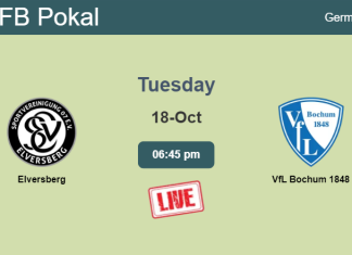 How to watch Elversberg vs. VfL Bochum 1848 on live stream and at what time