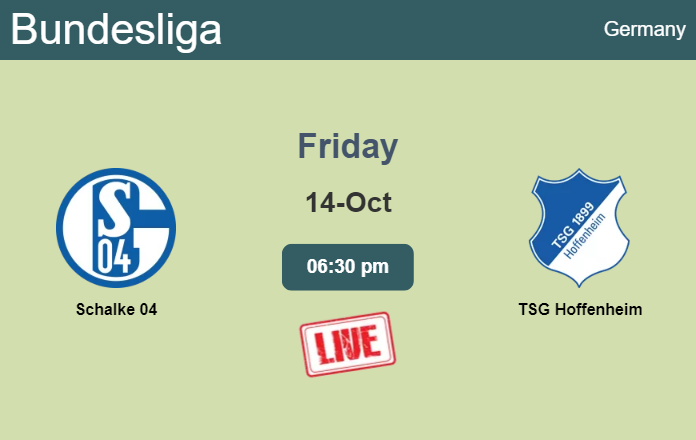 How to watch Schalke 04 vs. TSG Hoffenheim on live stream and at what time