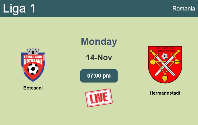 How to watch Botoşani vs. Hermannstadt on live stream and at what time