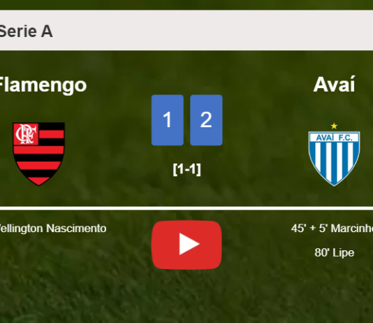 Avaí recovers a 0-1 deficit to best Flamengo 2-1. HIGHLIGHTS