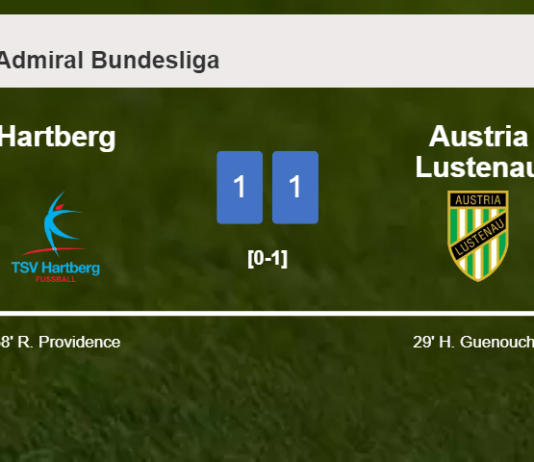 Hartberg and Austria Lustenau draw 1-1 on Saturday