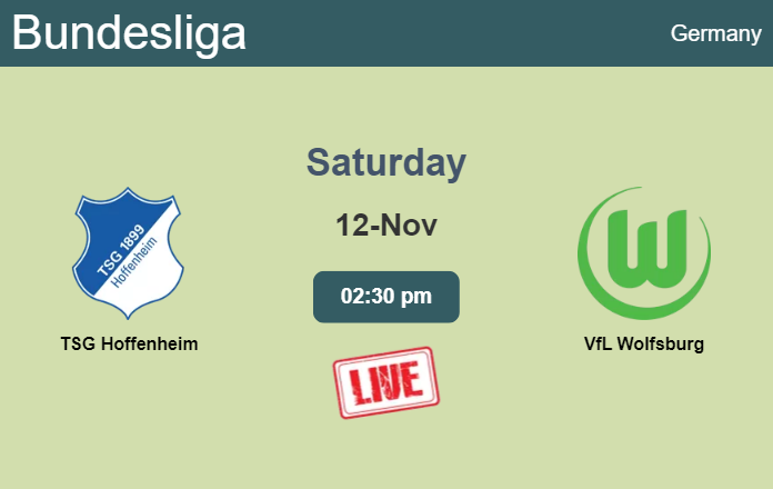 How to watch TSG Hoffenheim vs. VfL Wolfsburg on live stream and at what time