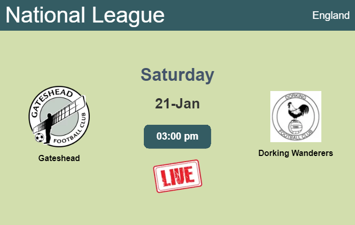How to watch Gateshead vs. Dorking Wanderers on live stream and at what time