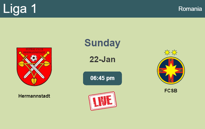 How to watch Hermannstadt vs. FCSB on live stream and at what time