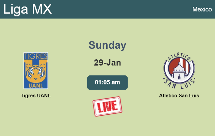 How to watch Tigres UANL vs. Atlético San Luis on live stream and at what time