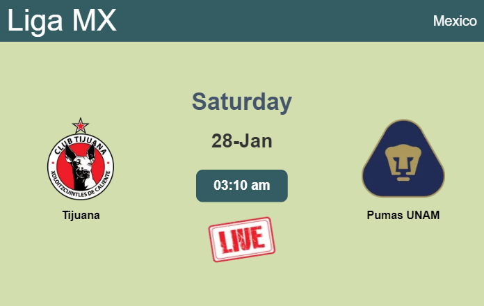 How to watch Tijuana vs. Pumas UNAM on live stream and at what time