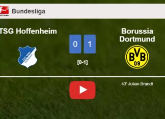 Borussia Dortmund prevails over TSG Hoffenheim 1-0 with a goal scored by J. Brandt. HIGHLIGHTS
