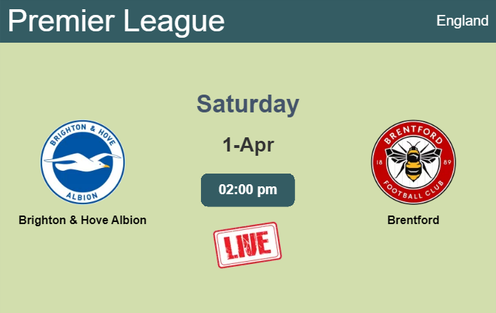 How to watch Brighton & Hove Albion vs. Brentford on live stream and at what time