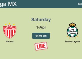 How to watch Necaxa vs. Santos Laguna on live stream and at what time