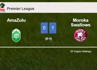 Moroka Swallows tops AmaZulu 1-0 with a goal scored by K. Malinga