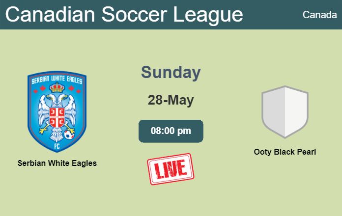 How to watch Serbian White Eagles vs. Ooty Black Pearl on live stream and at what time
