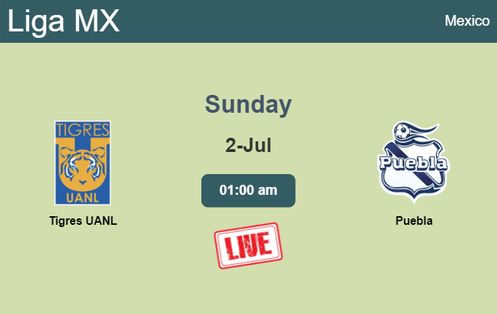 How to watch Tigres UANL vs. Puebla on live stream and at what time