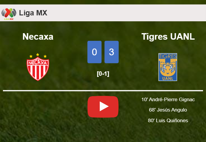 Tigres UANL beats Necaxa 3-0. HIGHLIGHTS