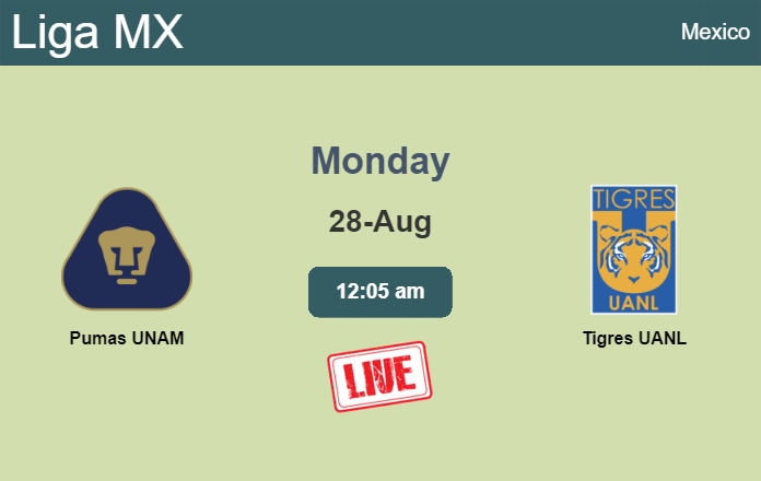 How to watch Pumas UNAM vs. Tigres UANL on live stream and at what time