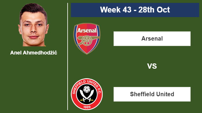 FANTASY PREMIER LEAGUE. Anel Ahmedhodžić stats before playing vs Arsenal on Saturday 28th of October for the 43rd week.