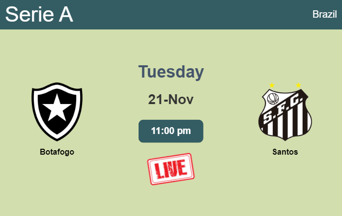 How to watch Botafogo vs. Santos on live stream and at what time