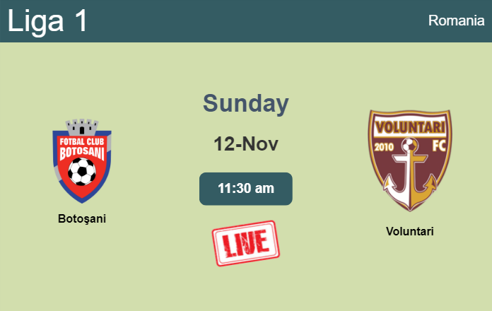 How to watch Botoşani vs. Voluntari on live stream and at what time