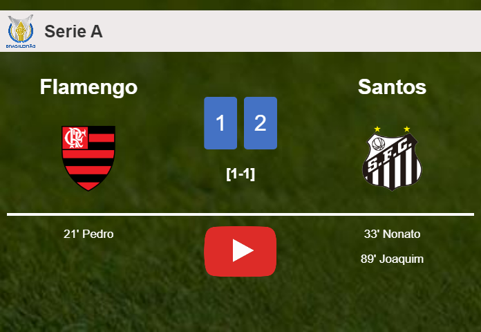 Santos recovers a 0-1 deficit to beat Flamengo 2-1. HIGHLIGHTS