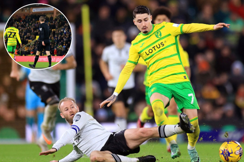 Referee's Equipment Malfunction Delays Norwich Vs Sheffield Wednesday Clash