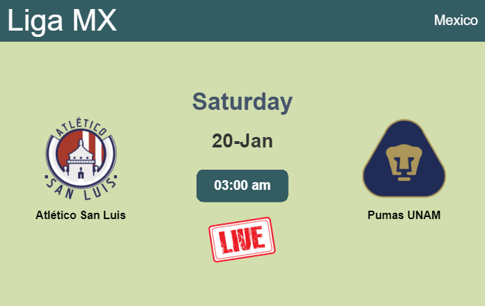 How to watch Atlético San Luis vs. Pumas UNAM on live stream and at what time