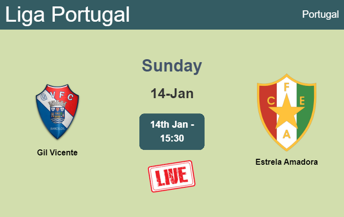 How to watch Gil Vicente vs. Estrela Amadora on live stream and at what time
