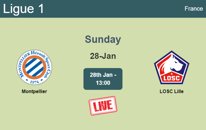 How to watch Montpellier vs. LOSC Lille on live stream and at what time