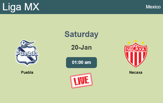 How to watch Puebla vs. Necaxa on live stream and at what time