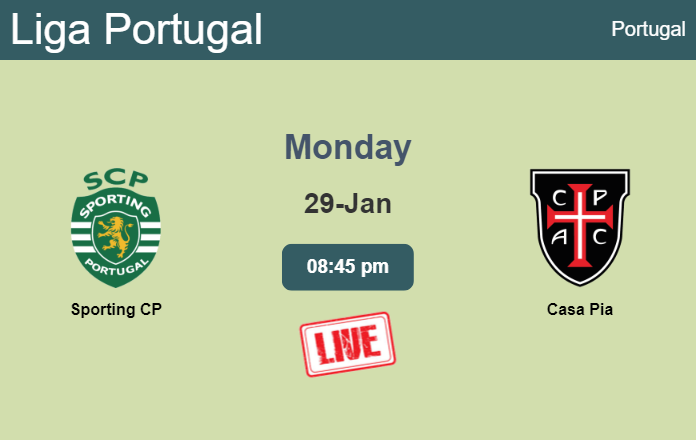 How to watch Sporting CP vs. Casa Pia on live stream and at what time