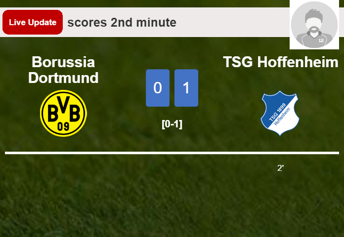 Borussia Dortmund vs TSG Hoffenheim live updates:  scores opening goal in Bundesliga match (0-1)