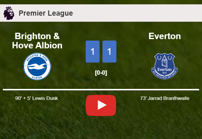 Brighton & Hove Albion seizes a draw against Everton. HIGHLIGHTS