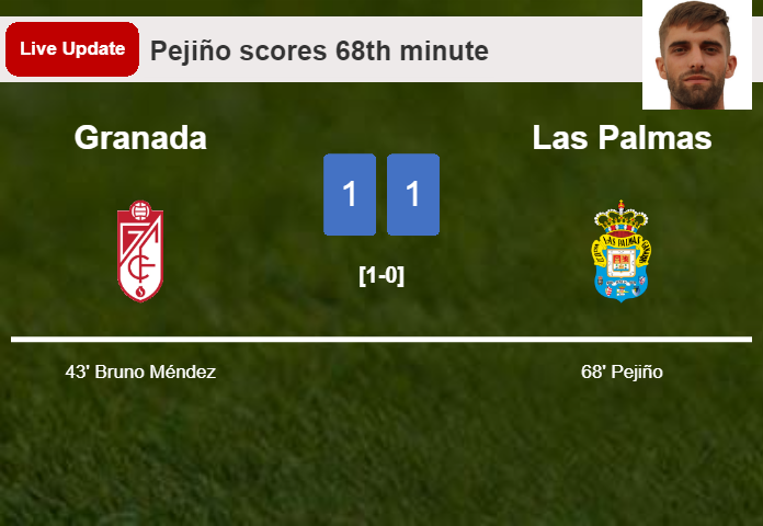 LIVE UPDATES. Las Palmas draws Granada with a goal from Pejiño in the 68th minute and the result is 1-1