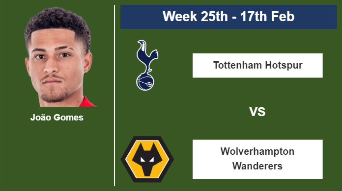 FANTASY PREMIER LEAGUE. João Gomes statistics before competing against Tottenham Hotspur on Saturday 17th of February for the 25th week.