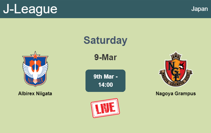 How to watch Albirex Niigata vs. Nagoya Grampus on live stream and at what time