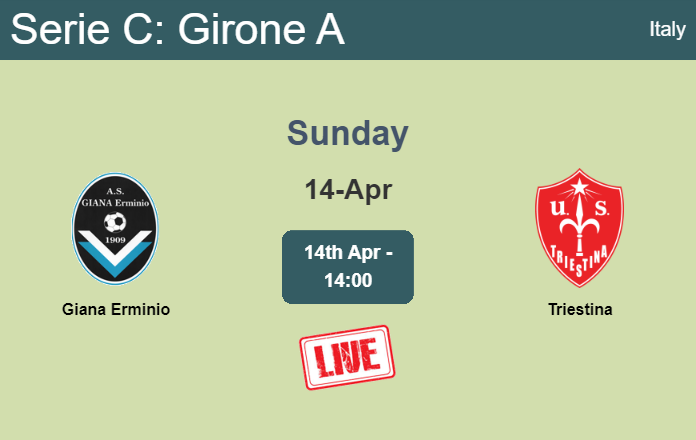 How to watch Giana Erminio vs. Triestina on live stream and at what time
