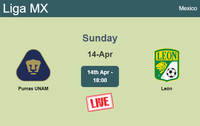 How to watch Pumas UNAM vs. León on live stream and at what time