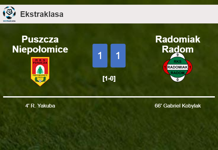 Puszcza Niepołomice and Radomiak Radom draw 1-1 on Monday