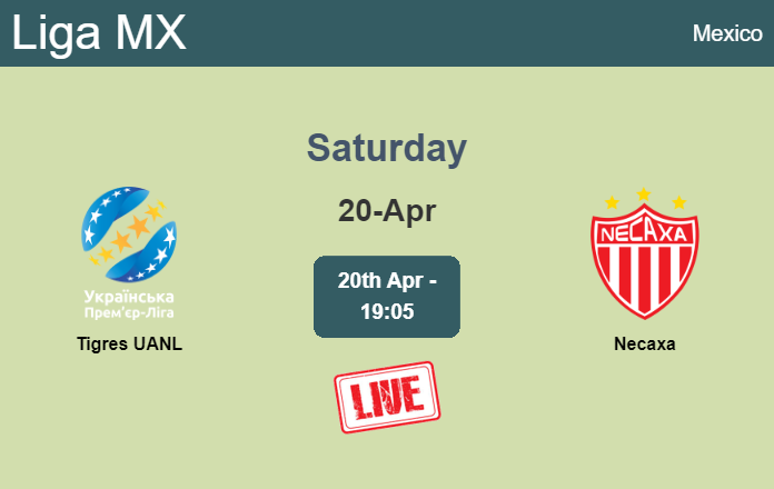 How to watch Tigres UANL vs. Necaxa on live stream and at what time